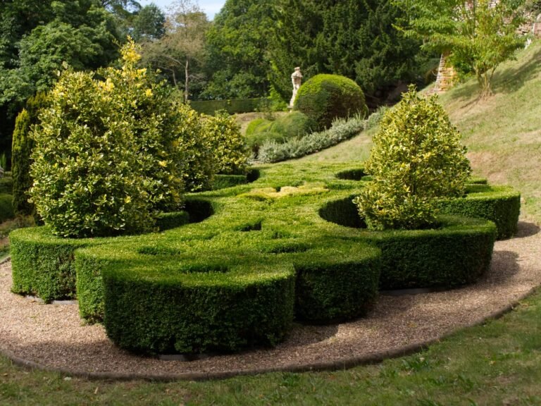 Tuin met gesnoeide buxus en vormsnoei langs een grindpad